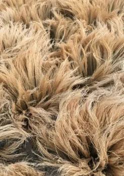 Sorghum Stripe Broom